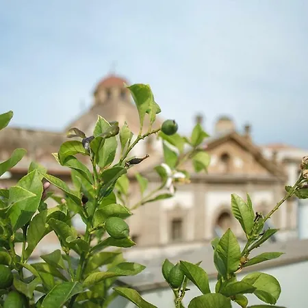 Kalsa Casa Di Charme Con Terrazza By Wonderful Italy Apartment *