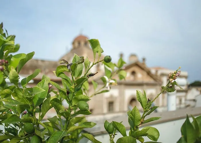 Kalsa Casa Di Charme Con Terrazza By Wonderful Italy Apartment *